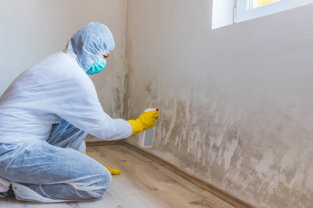 Crawl Space Mold Remediation treatment of floor joists in Stafford